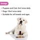 Wiggles Wimmuno+ Dogs & Cats Immunity Booster Probiotics Syrup 100 ml - Pet Healthcare