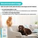 Wiggles Stripzy Dogs & Cats Immunity Booster Probiotics Strips 15's - Pet Healthcare