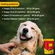 Wiggles Wet Dog Food Chicken Vegetable Gravy Puppy Adult Senior Pets (Pack of 4 x 150gm) 600 gm - Petfood