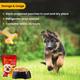 Wiggles Wet Dog Food Chicken Vegetable Gravy Puppy Adult Senior Pets (Pack of 4 x 150gm) 600 gm - Petfood