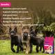 Wiggles Ykibble Puppy Food Dry Small Dogs Starter 900 gm - Petfood