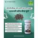 Dhanwantri Kaunch Beej Churan 100 gm - Speciality Medicines