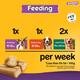 Pedigree Jumbone Mini - Chicken & Lamb Flavour (Pack of 4) 1's - Petfood