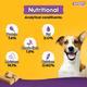 Pedigree Jumbone Mini - Chicken & Lamb Flavour (Pack of 4) 1's - Petfood