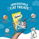 Temptations Treats for Cats Creamy Purrrree - Chicken & Tuna Flavour (Pack of 12 gm x 4) 1's - Petfood