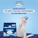 Catsan Hygiene Plus Non Clumping Cat Litter 5000 ml - Pet accessories