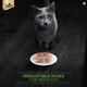 Sheba Deluxe Cat Food - Tuna & Snapper in Gravy 85 gm - Petfood