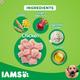 IAMS Proactive Health Adult Dog Food - Large Breed 12000 gm - Petfood