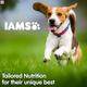 IAMS Proactive Health Adult Dog Food - Small & Medium Breed 3000 gm - Petfood