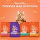 IAMS Proactive Health Nutrition for Adult Cats - Chicken and Salmon Meal 8000 gm - Petfood