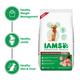 IAMS Proactive Health Golden Retriever Adult Dog Food 10000 gm - Petfood
