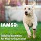 IAMS Proactive Health Smart Puppy Dog Food - Large Breed 8000 gm - Petfood