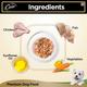 Cesar Adult Dog Food - White Meat Fish & Vegetables (Pack of 6 x 100 gm) 1's - Petfood