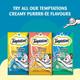 Temptations Treats for Cats Creamy Purrrree - Salmon & Cheese Flavour (Pack of 48 gm x 24) - Petfood