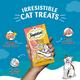 Temptations Treats for Cats Creamy Purrrree - Salmon & Cheese Flavour (Pack of 48 gm x 24) - Petfood