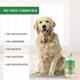 Wiggles Floor Cleaner Liquid Pet Friendly (Lemongrass) (Pack of 2 x 500 ml) - Pet Healthcare