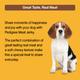 Pedigree Meat Jerky - Grilled Liver Flavour 80 gm - Petfood