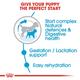 Royal Canin Starter Mother & Babydog Mini Dry Dog Food - (Upto 10 kg) 8.5 kg - Petfood
