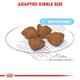 Royal Canin Starter Mother & Babydog Mini Dry Dog Food - (Upto 10 kg) 8.5 kg - Petfood