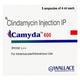 Camyda 600mg Injection 4ml - Bacterial Infections-OAB