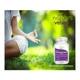 Natures Velvet KSM-66 Ashwagandha 500 mg Capsules 60's - Ashwagandha