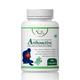 Natural Arthoactive Capsule 60's - Speciality Medicines