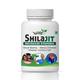 Natural Shilajit Capsule 60's - Sexual Healthcare