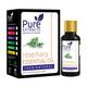 Pure Extracts Essential Oil - Rosemary 10 ml - Essential Oils