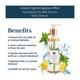 Seer Secrets Stimulating Soy Milk Enzyme Body Cleanser - Lemon Cypress Japanese Mint 200 ml - Lotions & Creams