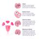 Sanfe Reusable Menstrual Cup - Small 2's - Menstrual Cups
