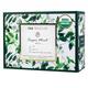 Tea Treasure Green Tea Bag - Super Mint 18's - Teas