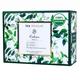 Tea Treasure Green Tea Bag - Kahwa 18's - Teas