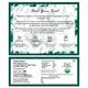 Tea Treasure Green Tea Bag - Kahwa 18's - Teas