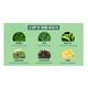 Vahdam Green Tea Bags - Moringa Tulsi 15's - Teas