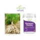 Natures Velvet Shatavari Powder 250 gm - Speciality Medicines