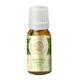 House of Aroma Essential Oil - Tea Tree 10 ml (N) - Essential Oils