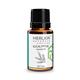 Merlion Naturals Essential Oil Combo - Eucalyptus + Lemongrass + Tea Tree + Peppermint + Orange + Lavender (Pack of 12 ml Each) - Essential Oils