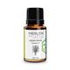 Merlion Naturals Essential Oil Combo - Eucalyptus + Lemongrass + Tea Tree + Peppermint + Orange + Lavender (Pack of 12 ml Each) - Essential Oils