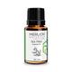 Merlion Naturals Essential Oil Combo - Eucalyptus + Lemongrass + Tea Tree + Peppermint + Orange + Lavender (Pack of 12 ml Each) - Essential Oils