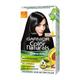 Garnier Color Naturals Creme hair color, Shade 1 Natural Black 70ml+60gm - Crème