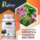Riffway Banaba 500 mg Capsule 60's - Sexual Healthcare
