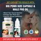 Riffway Big Penis Size Capsule 60's + Male Pro Oil 15 ml - Sexual Healthcare