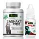 Riffway Sashakt Power Capsule 60's + Young On Gold Oil 15 ml - Sexual Healthcare