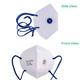 Care View N95 FFP2 Protective Face Mask with Valve - Head Loop 10's - Face Mask