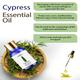 Sage Apothecary Essential Oil - Cypress 10 ml - Essential Oils