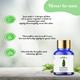 Sage Apothecary Essential Oil - Cypress 10 ml - Essential Oils