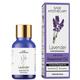Sage Apothecary Essential Oil - Lavender 10 ml - Essential Oils