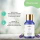 Sage Apothecary Essential Oil - Lavender 10 ml - Essential Oils
