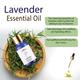 Sage Apothecary Essential Oil - Lavender 10 ml - Essential Oils