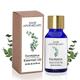 Sage Apothecary Essential Oil - Eucalyptus 10 ml - Essential Oils